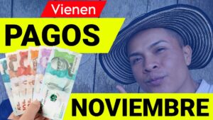 Lee más sobre el artículo VIENE PAGOS NOVIEMBRE Renta Ciudadana Renta Joven Devolución IVA Colombia Mayor