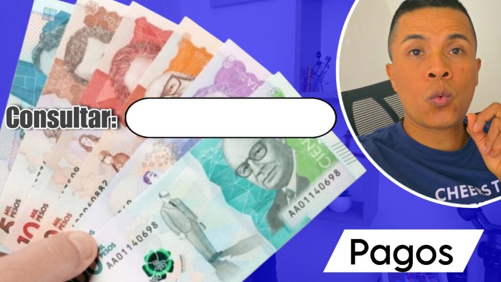 Consulta Pagos Renta Ciudadana y Devolución IVA