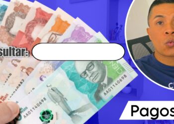 Consulta Pagos Renta Ciudadana y Devolución IVA