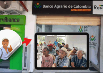 banco agrario consultar 2025 colombia mayor