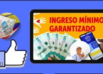 ingreso minimo garantizado mayo 2025