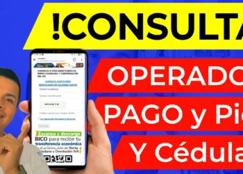 Consulta Pagos Banco Agrario y Pico y Cedula Fabian Rodriguez Informa