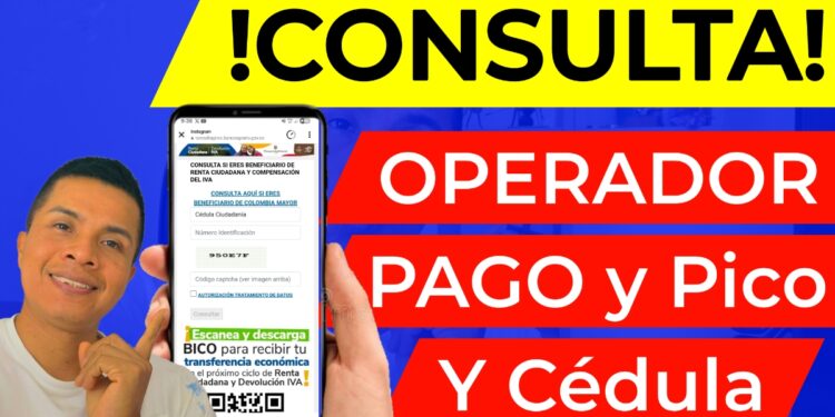 Consulta Pagos Banco Agrario y Pico y Cedula Fabian Rodriguez Informa