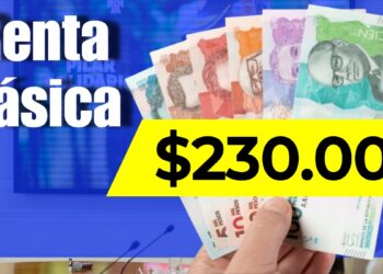 Pilar Solidario Renta Basica 2025 Fabian Rodriguez