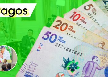 Fechas de Pagos Renta Ciudadana y Devolución IVA 2025