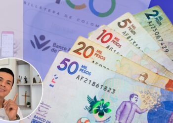 Pago Rentas Ciudadana Devolucion IVA Bico Movii
