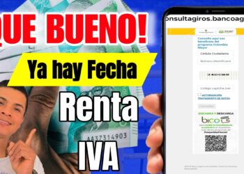 Consulta pagos Renta Ciudadana y Devolucion IVA 2 2025 Fabian
