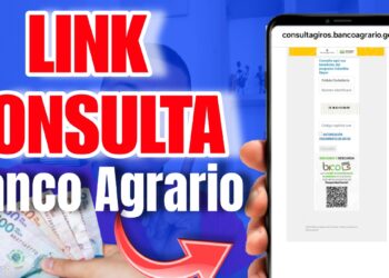 Link Consulta Pagos Banco Agrario Renta Ciudadana Devolucion IVA Fabian