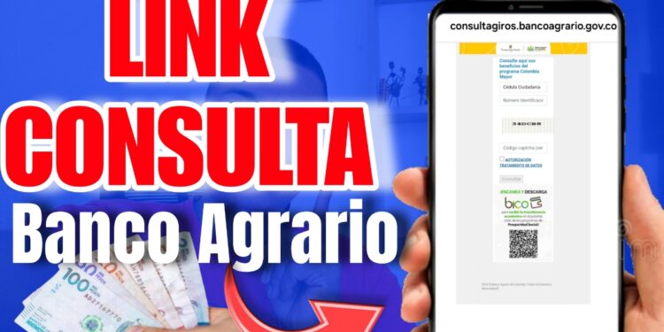 Link Consulta Pagos Banco Agrario Renta Ciudadana Devolucion IVA Fabian