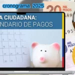 cronograma subsidios 2025