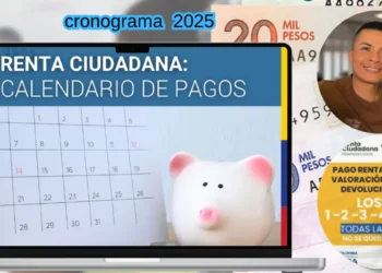cronograma subsidios 2025