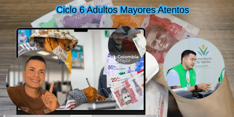Ciclo 6 Adultos Mayores Atentos