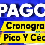 Cronograma Pico y Cedula Renta Joven Pagos Fabian Informa