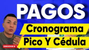 Cronograma Pico y Cedula Renta Joven Pagos Fabian Informa