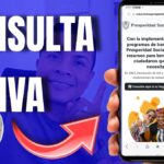 Consulta Beneficiarios Devolución IVA 2025