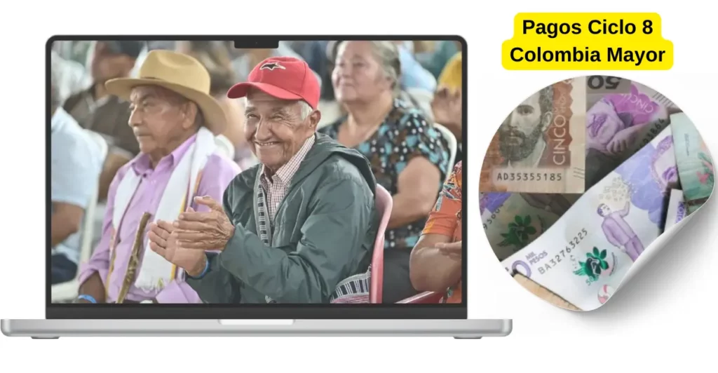 ciclo 8 colombia mayor