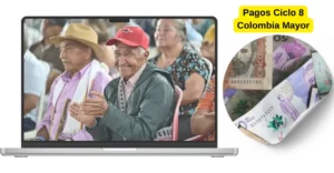 ciclo 8 colombia mayor