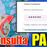 Consulta Pagos Renta Ciudadana Devolucion IVA Colombia Mayor Renta Joven