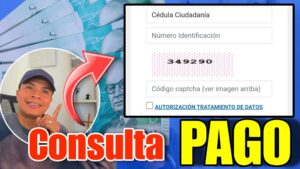 Consulta Pagos Renta Ciudadana Devolucion IVA Colombia Mayor Renta Joven