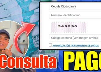 Consulta Pagos Renta Ciudadana Devolucion IVA Colombia Mayor Renta Joven