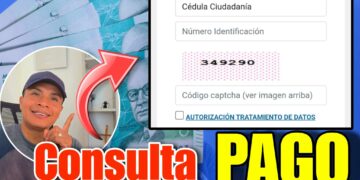 Consulta Pagos Renta Ciudadana Devolucion IVA Colombia Mayor Renta Joven