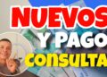 Consultas pagos Colombia Mayor Nuevos Beneficiarios Pilar Solidario