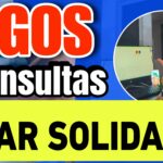 CONSULTAS PAGOS Y BENEFICIARIOS PILAR SOLIDARIO