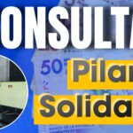 CONSULTAS PILAR SOLIDARIO